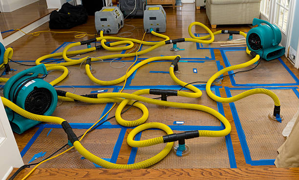 Professional Crawl Space Water Removal technician working in Pruden, TN